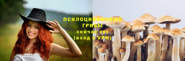 марки nbome Горняк