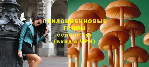 прущие крисы Вязники