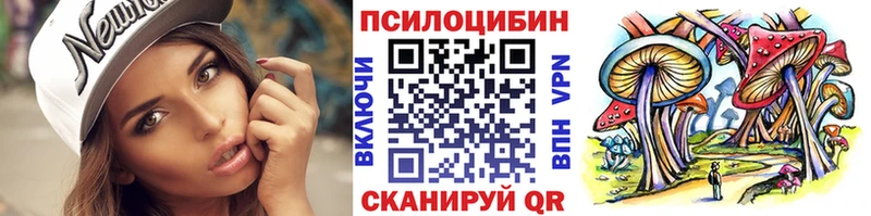 Купить  Кировск  Галлюциногенные грибы MAGIC MUSHROOMS 